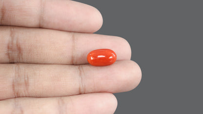 Italian Red Coral 7.63 Carats / 8.38 Ratti