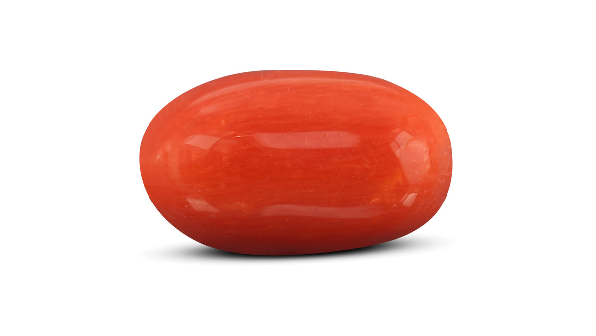 Italian Red Coral 7.63 Carats / 8.38 Ratti