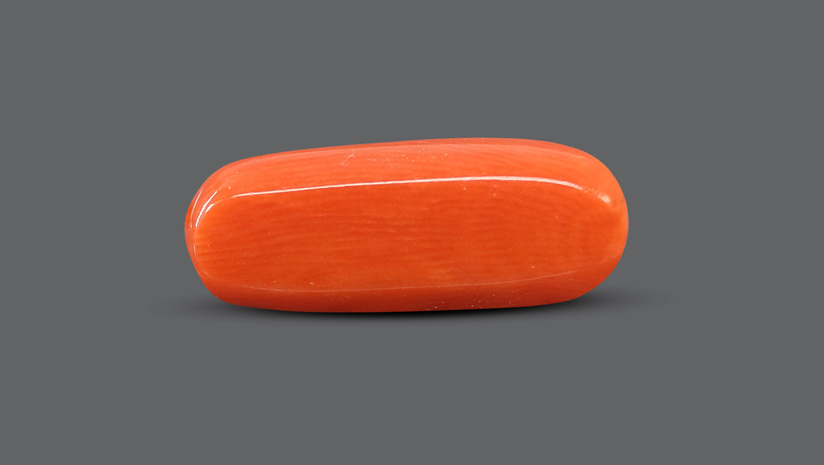 Italian Red Coral 8.52 Carats / 9.36 Ratti