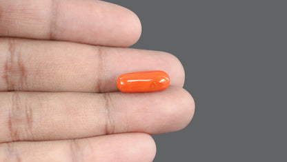 Italian Red Coral 8.52 Carats / 9.36 Ratti