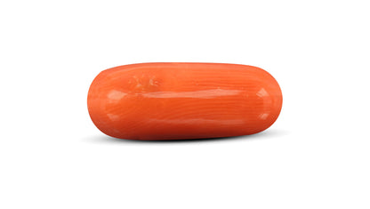 Italian Red Coral 8.52 Carats / 9.36 Ratti