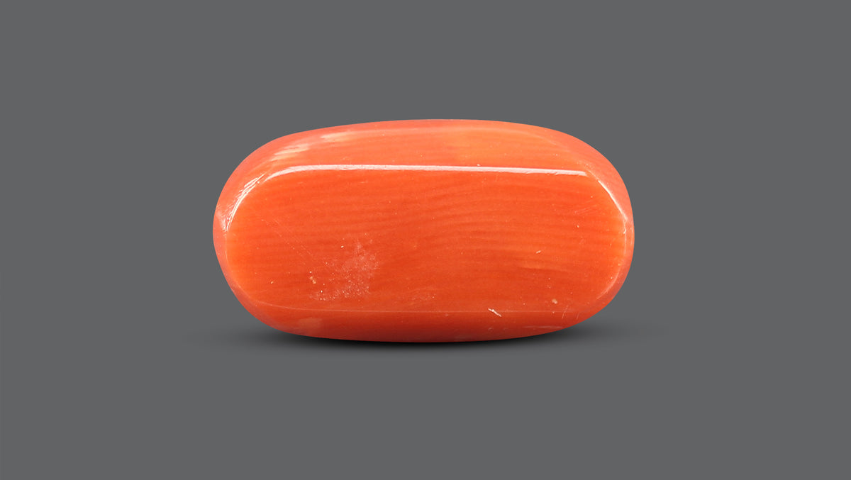 Italian Red Coral 13.48 Carats / 14.81 Ratti