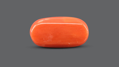 Italian Red Coral 13.48 Carats / 14.81 Ratti