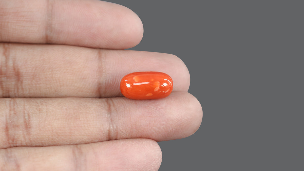 Italian Red Coral 13.48 Carats / 14.81 Ratti