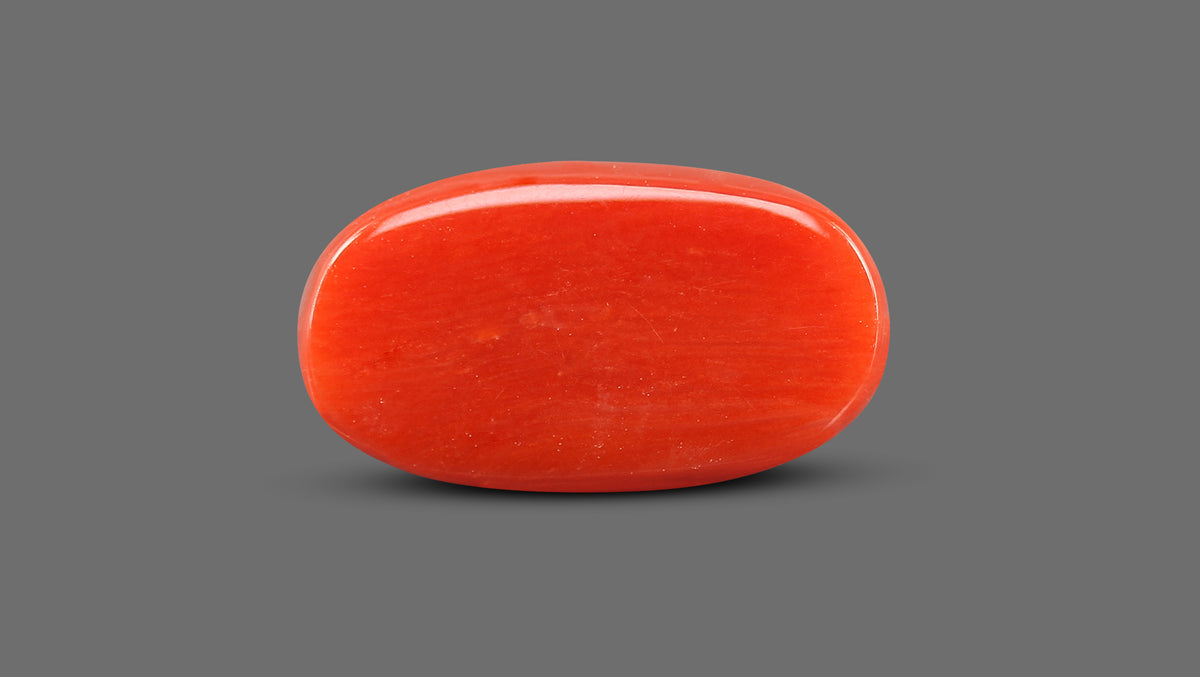 Italian Red Coral 9.40 Carats / 10.33 Ratti