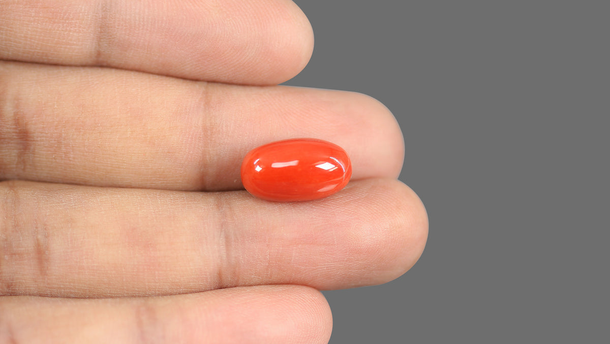 Italian Red Coral 9.40 Carats / 10.33 Ratti