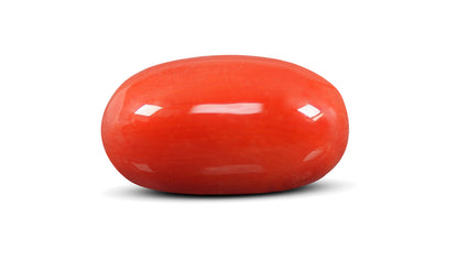 Italian Red Coral 9.40 Carats / 10.33 Ratti