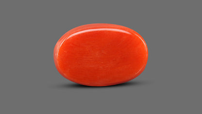 Italian Red Coral 9.19 Carats / 10.1 Ratti