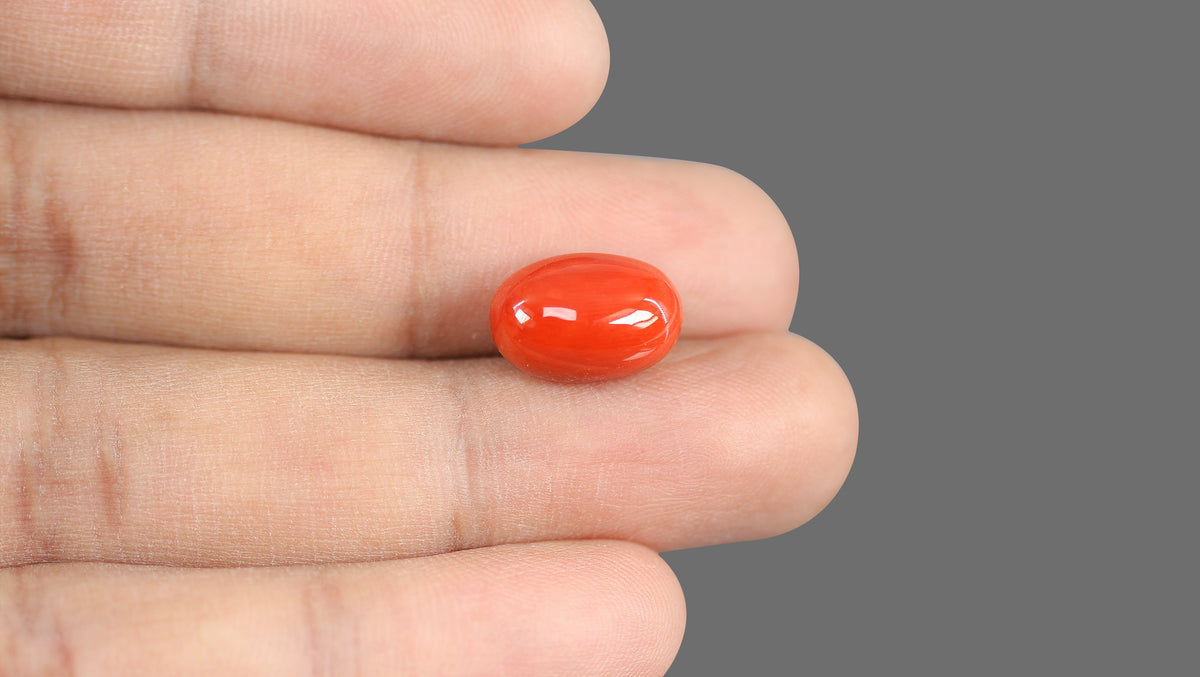 Italian Red Coral 9.19 Carats / 10.1 Ratti