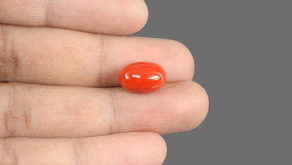 Italian Red Coral 9.19 Carats / 10.1 Ratti