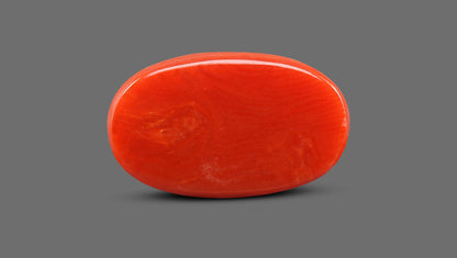 Italian Red Coral 9.30 Carats / 10.22 Ratti