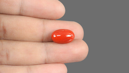 Italian Red Coral 9.30 Carats / 10.22 Ratti