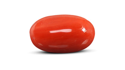 Italian Red Coral 9.30 Carats / 10.22 Ratti