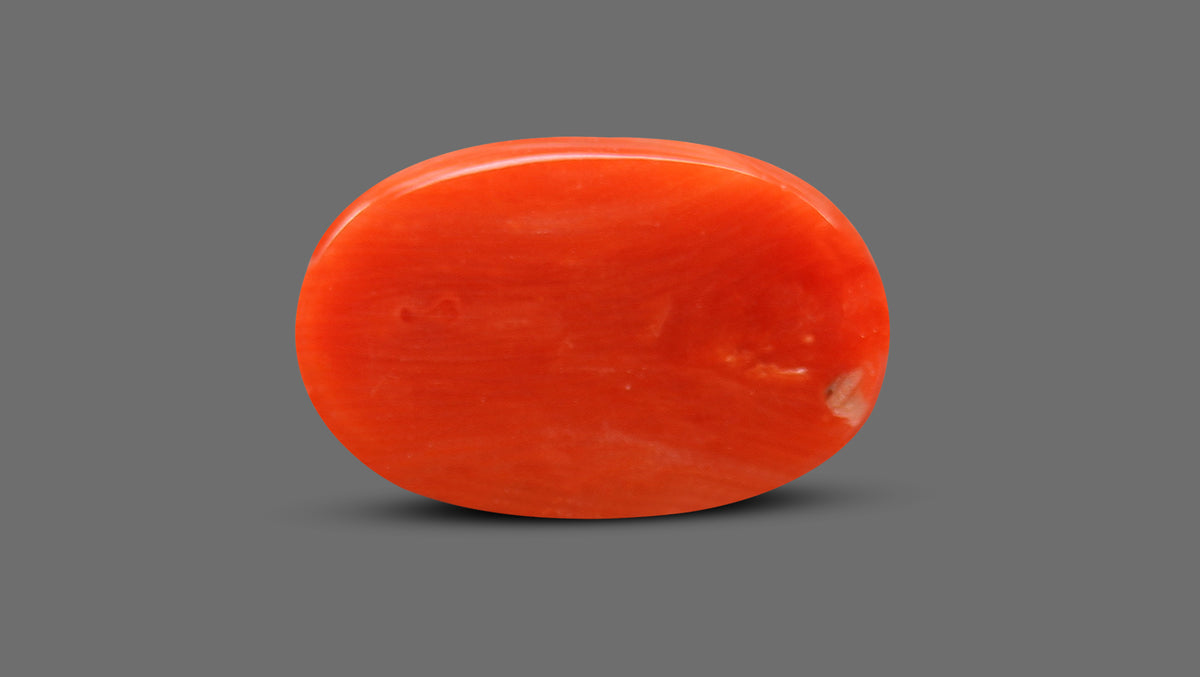 Italian Red Coral 9.23 Carats / 10.14 Ratti