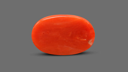 Italian Red Coral 9.23 Carats / 10.14 Ratti