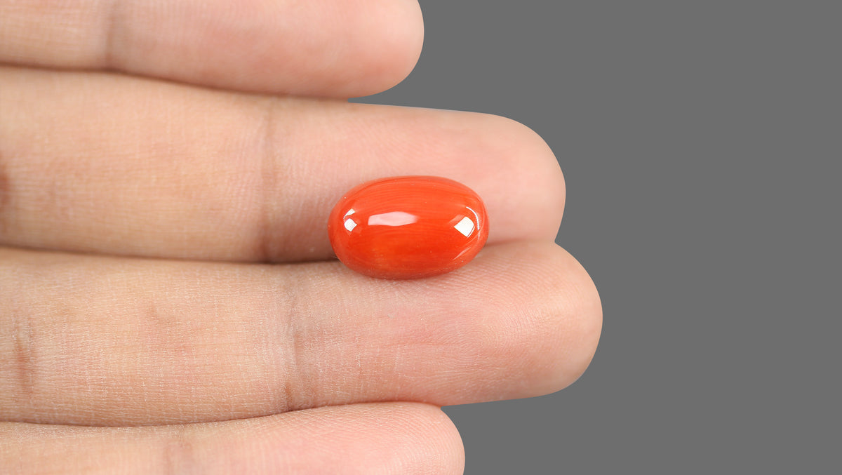 Italian Red Coral 9.23 Carats / 10.14 Ratti
