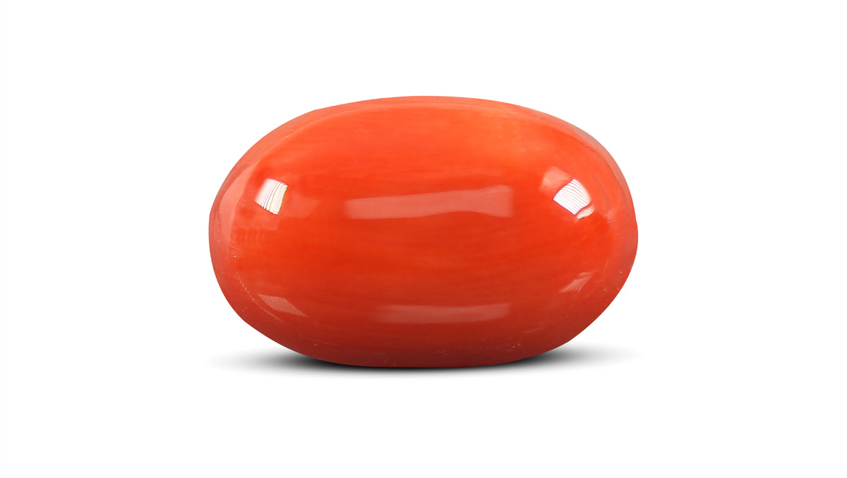 Italian Red Coral 9.23 Carats / 10.14 Ratti