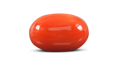 Italian Red Coral 9.23 Carats / 10.14 Ratti