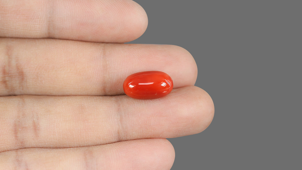 Italian Red Coral 9.32 Carats / 10.24 Ratti