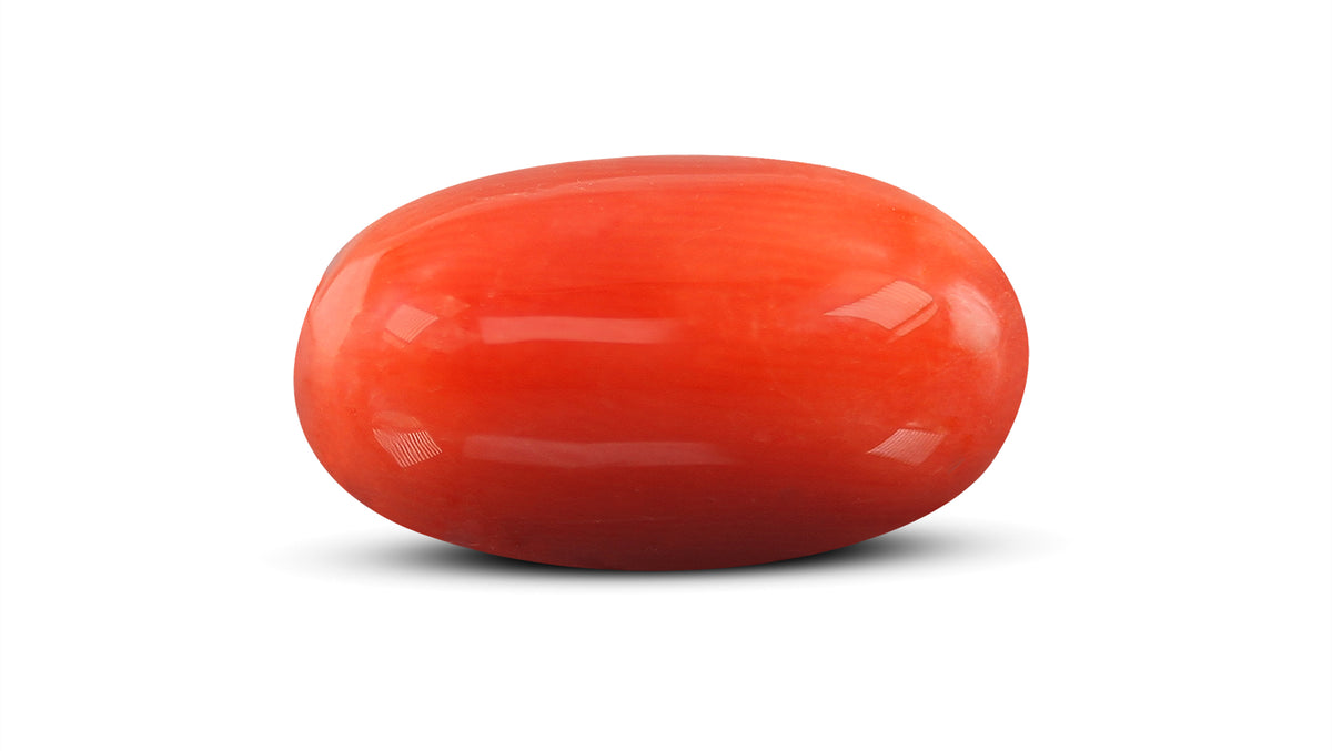 Italian Red Coral 9.32 Carats / 10.24 Ratti