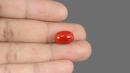 Italian Red Coral 9.50 Carats / 10.44 Ratti