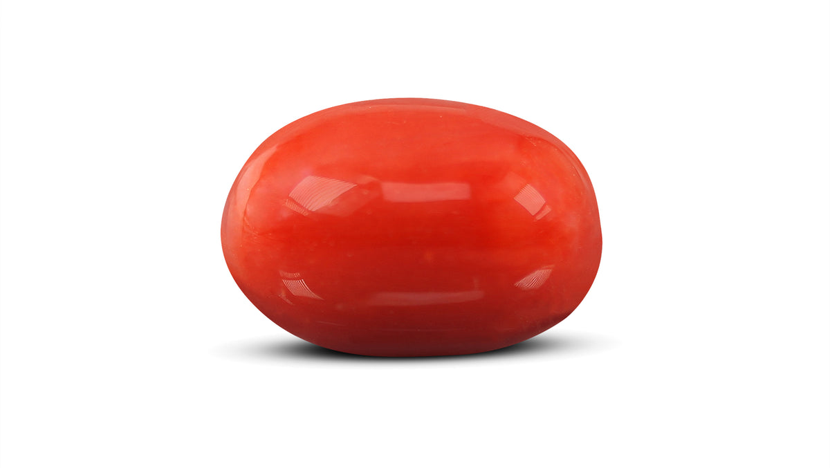Italian Red Coral 9.50 Carats / 10.44 Ratti