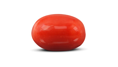 Italian Red Coral 9.50 Carats / 10.44 Ratti