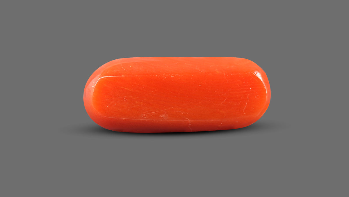 Italian Red Coral 9.12 Carats / 10.02 Ratti