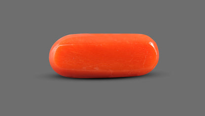 Italian Red Coral 9.12 Carats / 10.02 Ratti
