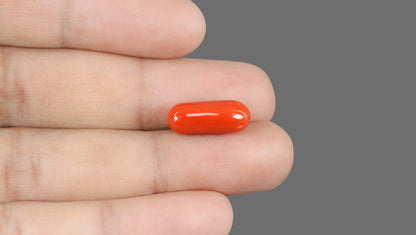 Italian Red Coral 9.12 Carats / 10.02 Ratti