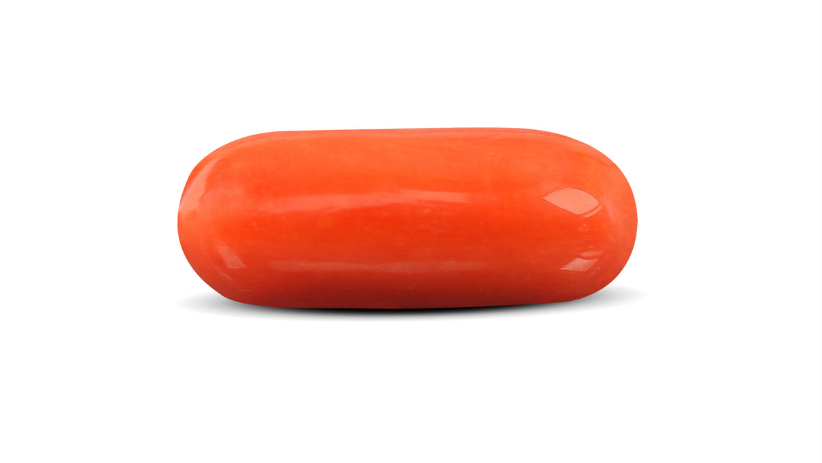 Italian Red Coral 9.12 Carats / 10.02 Ratti