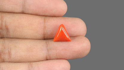 Italian Red Coral 5.85 Carats / 6.43 Ratti