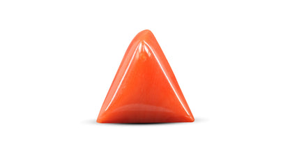 Italian Red Coral 5.85 Carats / 6.43 Ratti
