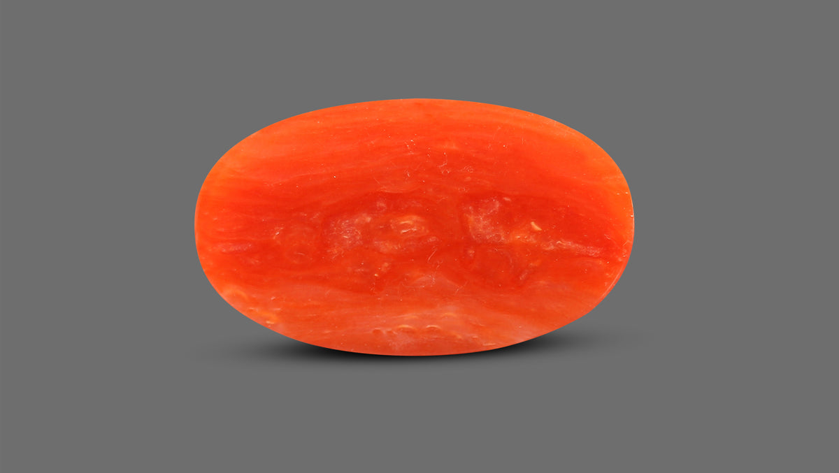 Italian Red Coral 7.03 Carats / 7.73 Ratti