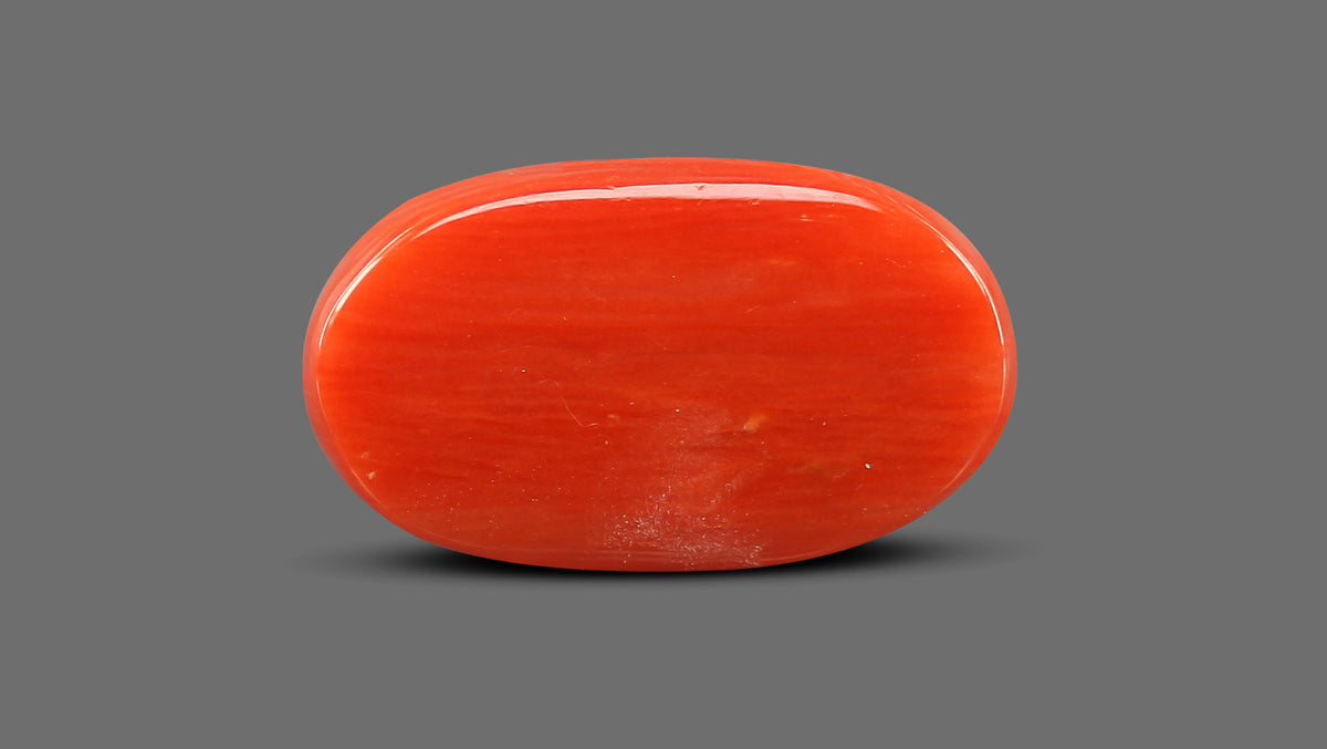 Italian Red Coral 8.24 Carats / 9.05 Ratti