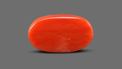 Italian Red Coral 8.24 Carats / 9.05 Ratti