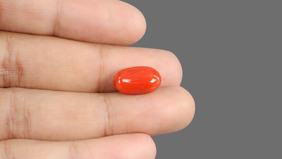 Italian Red Coral 8.24 Carats / 9.05 Ratti