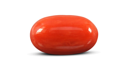 Italian Red Coral 8.24 Carats / 9.05 Ratti