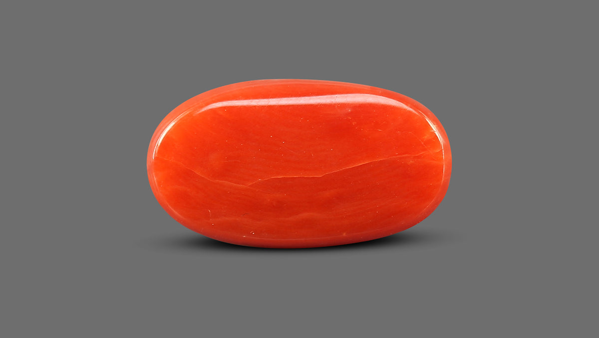 Italian Red Coral 7.51 Carats / 7.51 Ratti