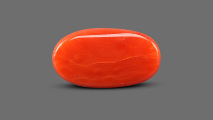 Italian Red Coral 7.51 Carats / 7.51 Ratti
