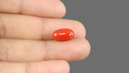 Italian Red Coral 7.51 Carats / 7.51 Ratti