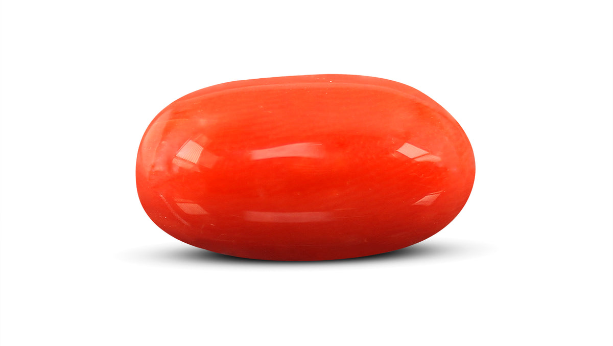 Italian Red Coral 7.51 Carats / 7.51 Ratti