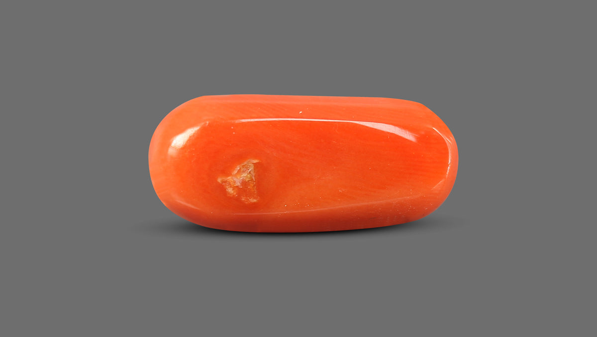 Italian Red Coral 11.30 Carats / 12.42 Ratti