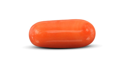 Italian Red Coral 11.30 Carats / 12.42 Ratti