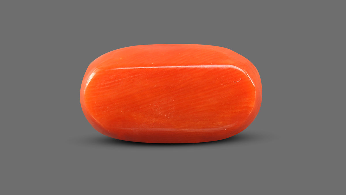 Italian Red Coral 11.85 Carats / 13.02 Ratti