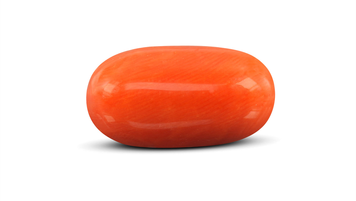 Italian Red Coral 11.85 Carats / 13.02 Ratti