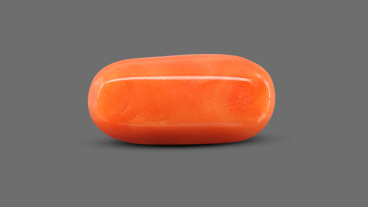 Italian Red Coral 11.20 Carats / 12.31 Ratti