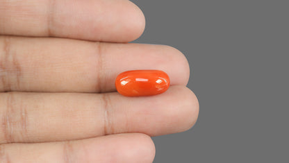 Italian Red Coral 11.20 Carats / 12.31 Ratti