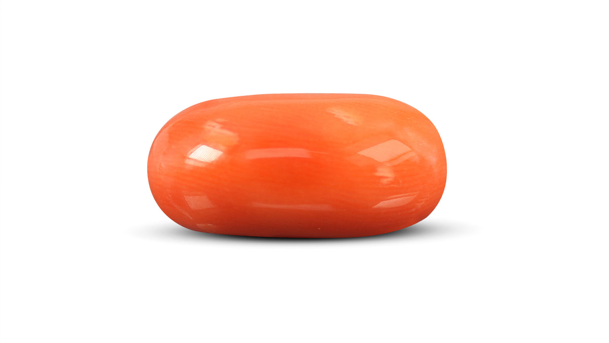Italian Red Coral 11.20 Carats / 12.31 Ratti