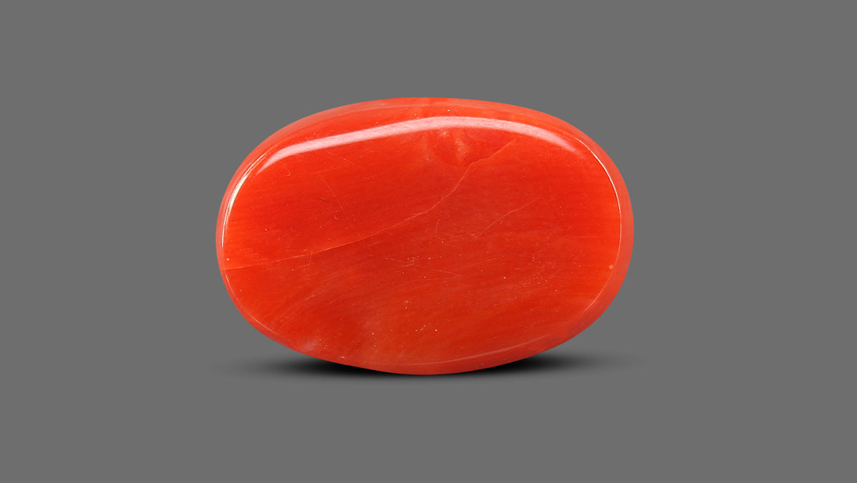 Italian Red Coral 11.70 Carats / 12.86 Ratti